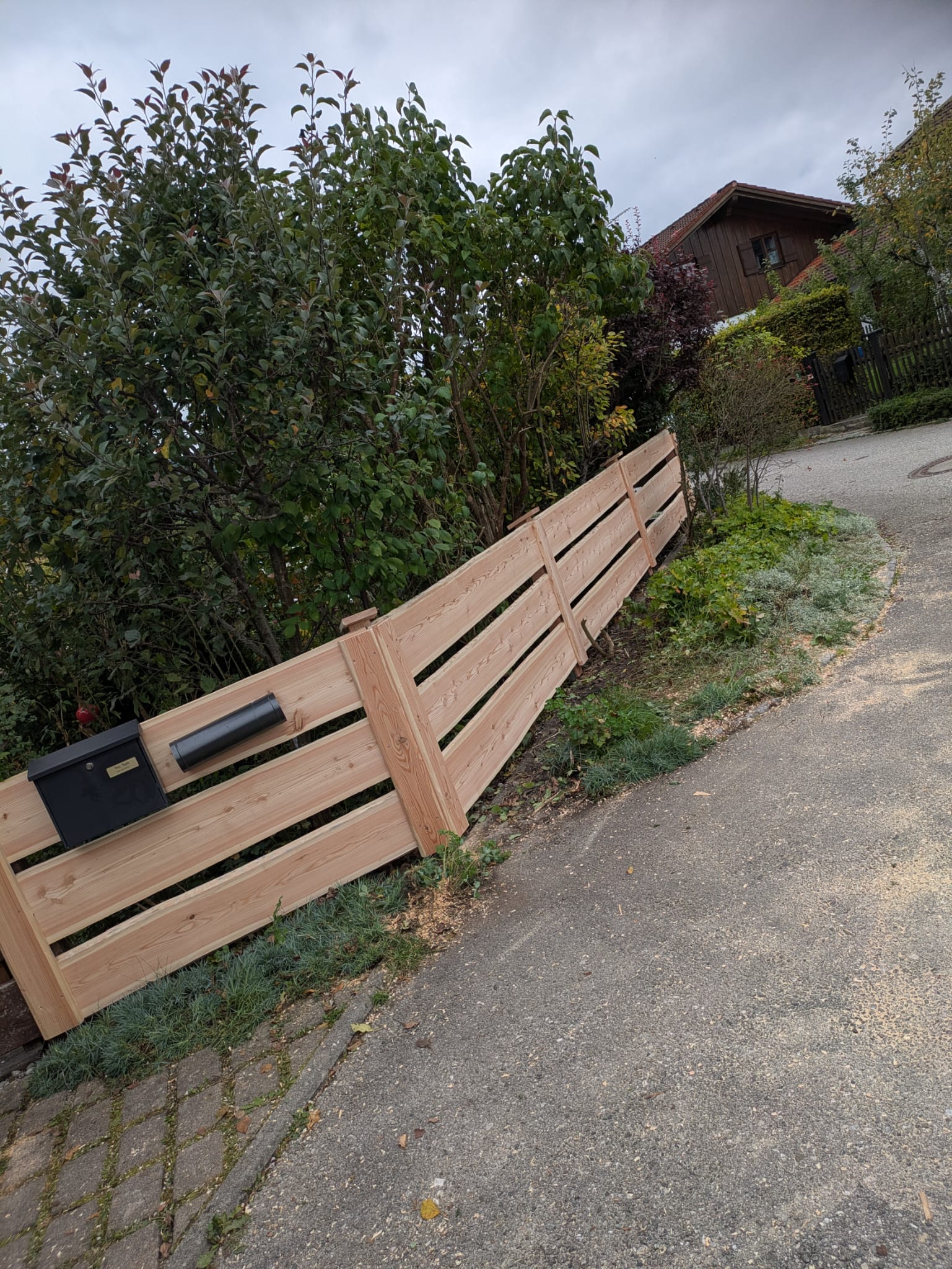 WhatsApp Image 2026-03-19 at 06.16.23 (1)